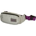 Mystery Ranch Forager Hip Pack Steel