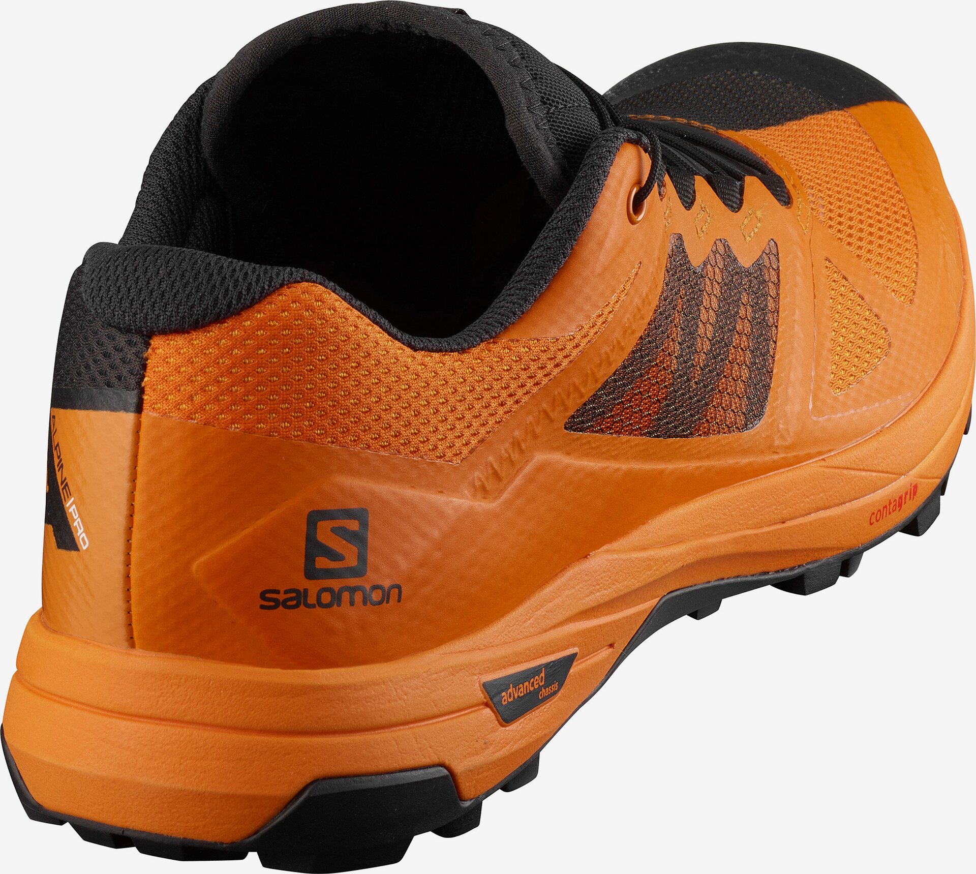 salomon x alpine