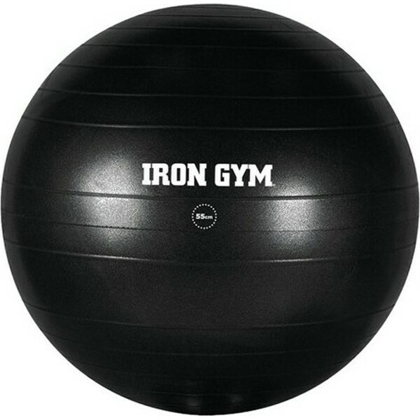 Iron Gym Exercise Ball Essential 55cm + pumb