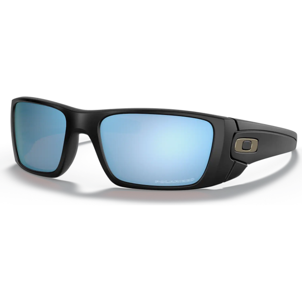 fuel cell polarized