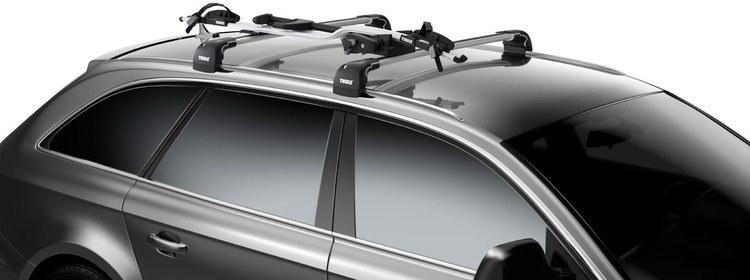 thule pro ride 598