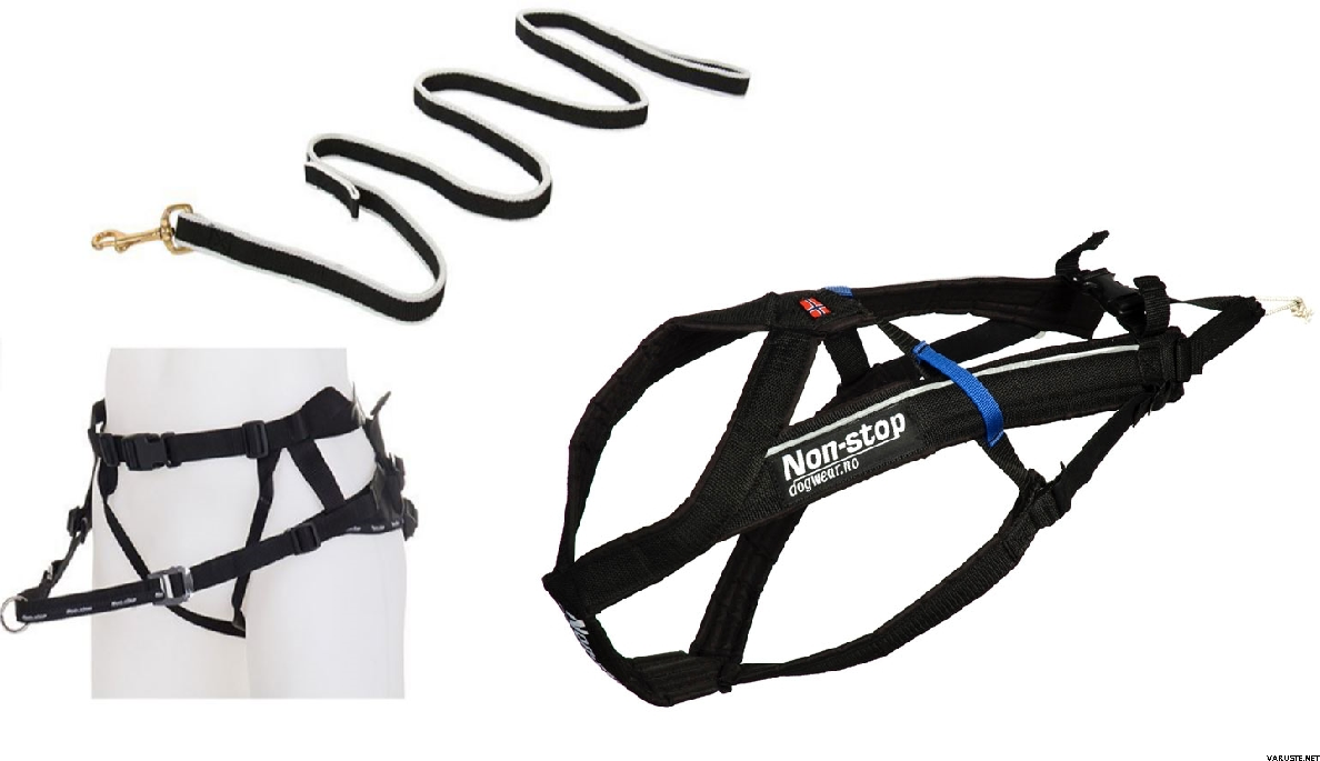 Non-stop Dogwear Canicross Set (inc. harness, belt and bungee line ...